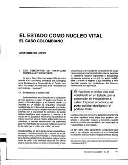 El Estado como núcleo vital: el caso colombiano