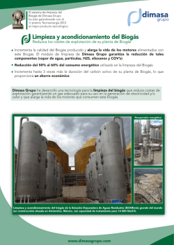 Limpieza y acondicionamiento de Biogas