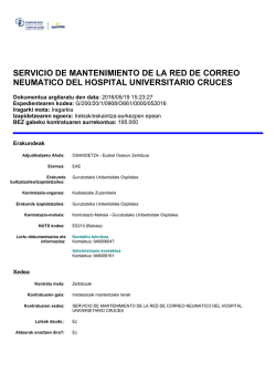 servicio de mantenimiento de la red de correo neumatico del