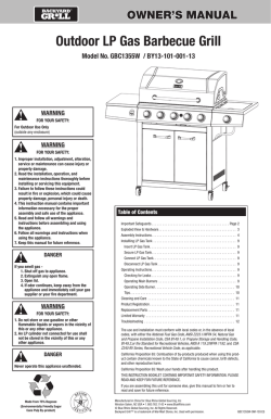 Outdoor LP Gas Barbecue Grill