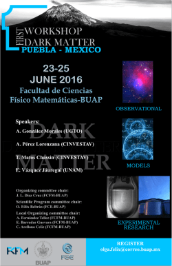 First Workshop Dark Matter Puebla, México, Auditorio