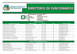 CONSEJO REGIONAL EJECUTIVO DEL GOBIERNO REGIONAL