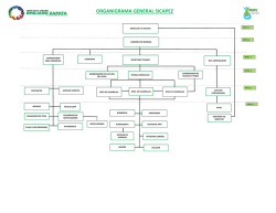 ORGANIGRAMA GENERAL SICAPEZ