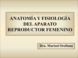 anatoma-y-fisiologa-del-aparato-reproductor-femenino