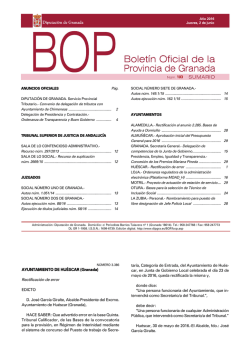 Descargar PDF - Diputación de Granada