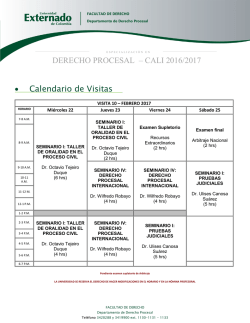 visita 10 – febrero 2017