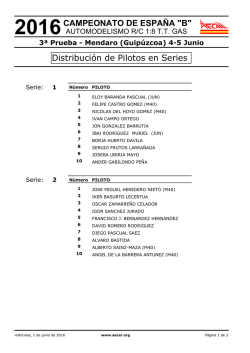 Distribución de Pilotos en Series CAMPEONATO DE