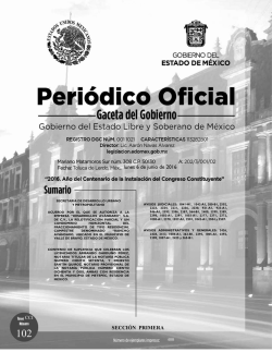 Acuerdo por el que se autoriza a la empresa &ldquo;Desarrollos Av&aacute;ndaro&rdquo;