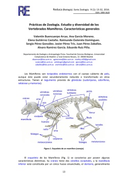 1.- protozoos - REDUCA (Recursos Educativos)