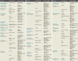 plaza día y hora actividad plaza día y hora actividad plaza actividad