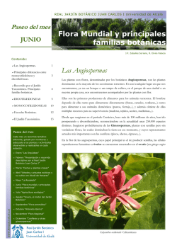 Paseo de junio: Flora Mundial, principales familas botánicas.