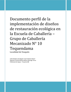 Documento perfil de la implementación de diseños de restauración