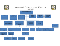 Estructura Organica - Municipalidad de Yataity del Guaira