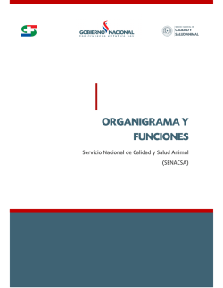 Organigrama
