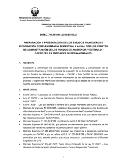 directiva n&ordm; 004
