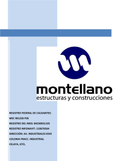 CURRICULUM VITAE - Montellano Estructuras y Construcciones