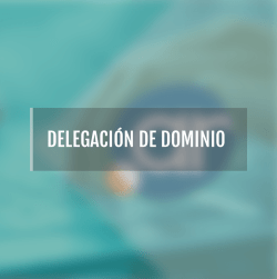 delegación de dominio delegación de dominio