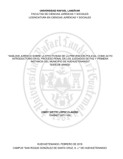 an&aacute;lisis jur&iacute;dico sobre la efectividad de la prevenci&oacute;n policial como