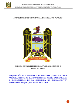descargar documento - Municipalidad Provincial de Lucanas Puquio