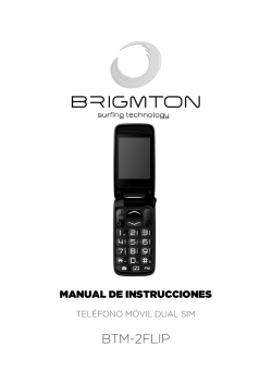 BTM-2FLIP - brigmton