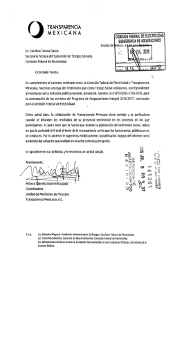 transparencia mexicana