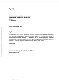 Nm&aacute;s1 Dinamia, SA y Sociedades que integran el