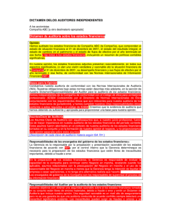 Dictamen de los auditores independientes