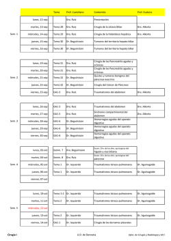 Cirugía I U.D. de Donostia Tema Prof. Castellano Contenido Prof