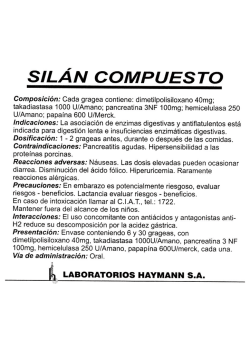 Sil&aacute;n Compuesto