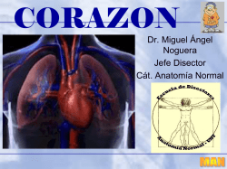 Dr. Miguel Ángel Noguera Jefe Disector Cát. Anatomía Normal