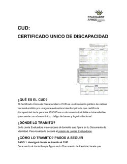 cud: certificado unico de discapacidad