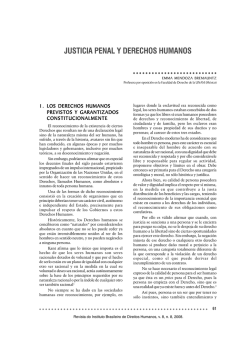 justicia penal y derechos humanos - Revista do Instituto Brasileiro