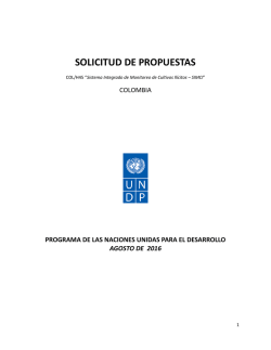 Solicitud de Propuesta (superior 100.000 Dólares Ee.uu.)