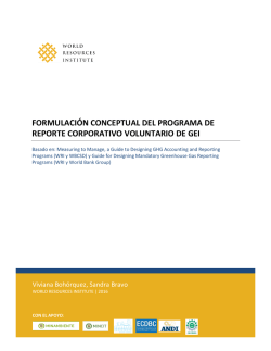 formulación conceptual del programa de reporte corporativo