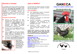 PDF - ganeca