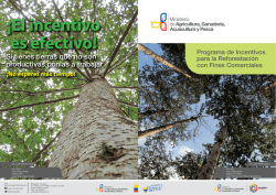 Programa de Incentivos para la Reforestación
