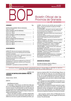 Descargar PDF - Diputación de Granada
