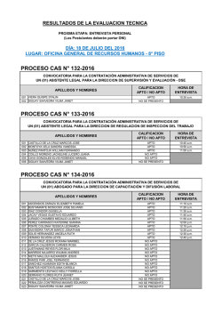 proceso cas n&deg; 132-2016 proceso cas n&deg; 133