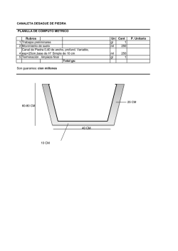 CANALETA DESAGUE DE PIEDRA PLANILLA DE CÓMPUTO