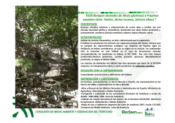 HIC 91E0 : Bosques aluviales de Alnus glutinosa y Fraxinus