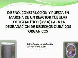 Documento Anexo  - Universidad Tecnológica de Pereira