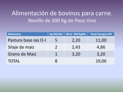 Alimentación de bovinos para carne