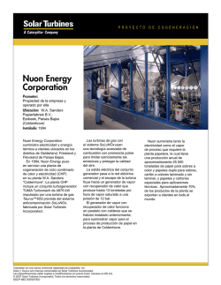 Nuon Energy Corporation