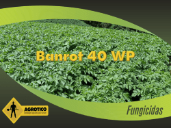 Banrot 40 WP
