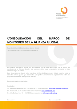 consolidación del marco de monitoreo de la alianza global