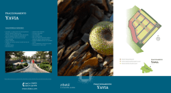 Yavia - Zibatá