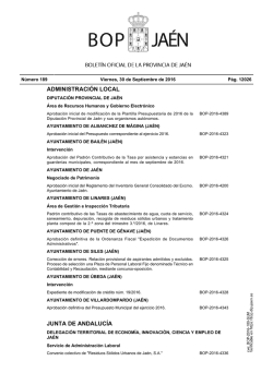 administración local