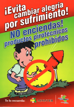 Productos Pirotecnicos - Municipalidad Provincial del Santa