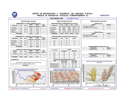 Microsoft Word - Documento1