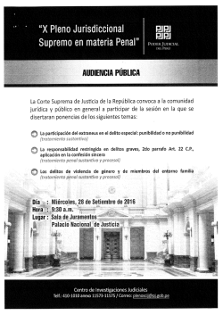 x pleno jurisdiccional supremo en materia penal